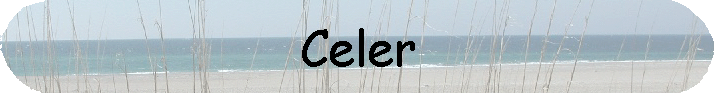 Celer