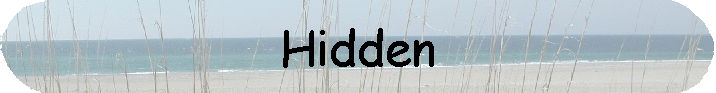 Hidden